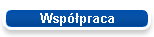 Wsppraca